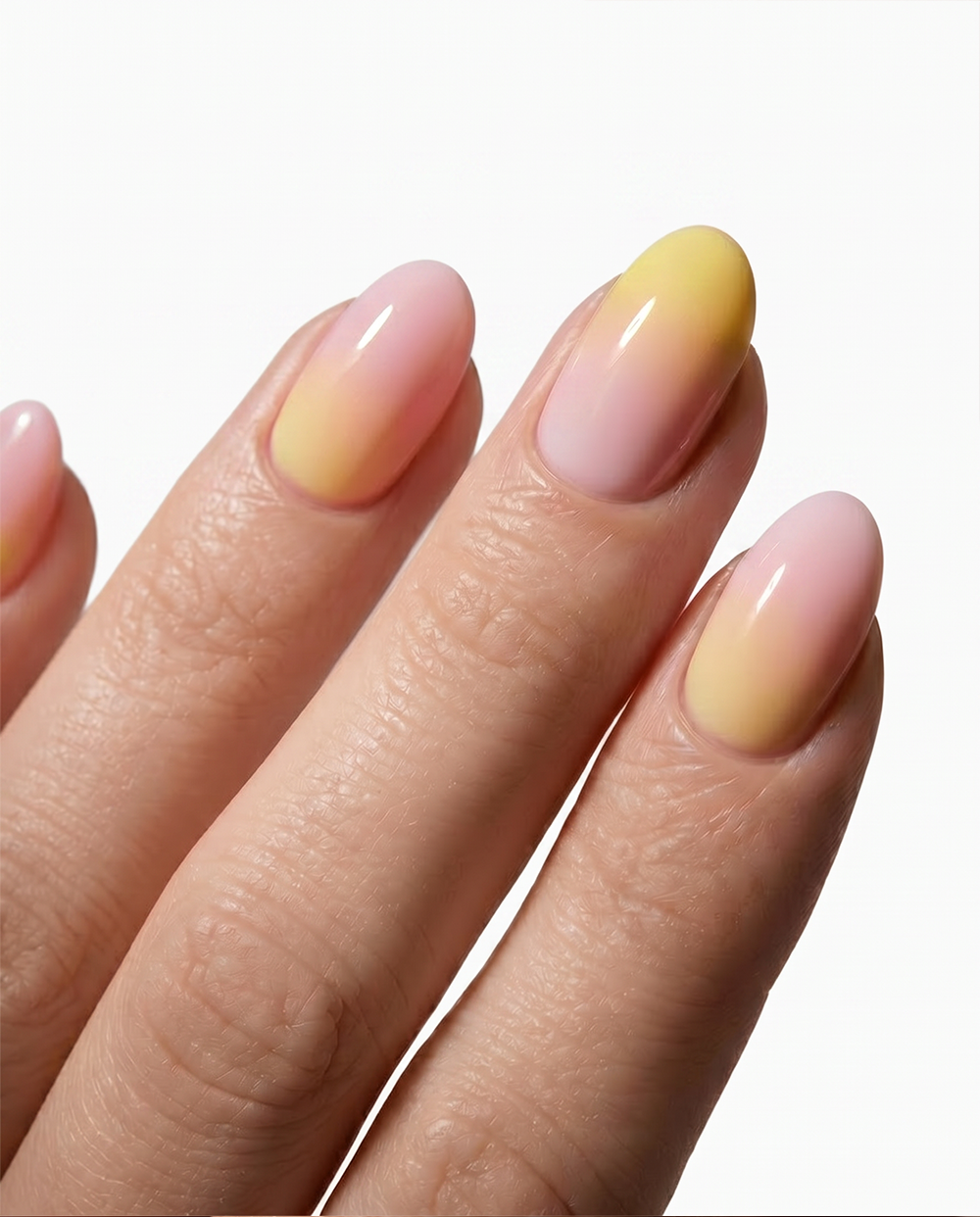 MACARON 79