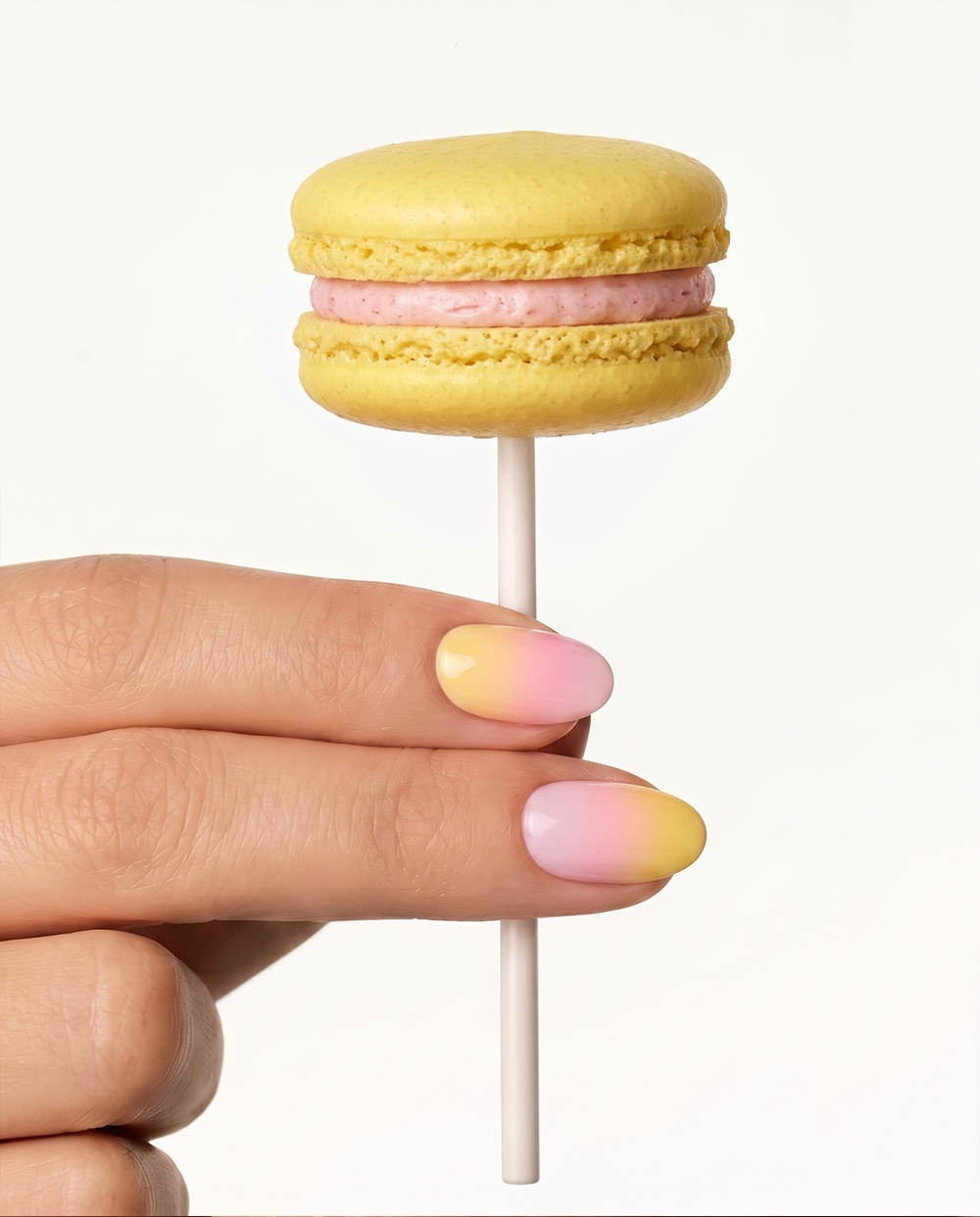 MACARON 79